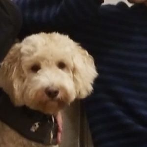 Meet your Posher, Matteo